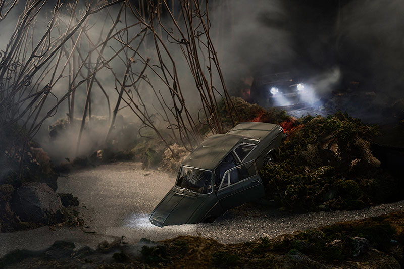Clearing in the Woods, 2020, Photograph (Archival Pigment Print), Mark Peterman.