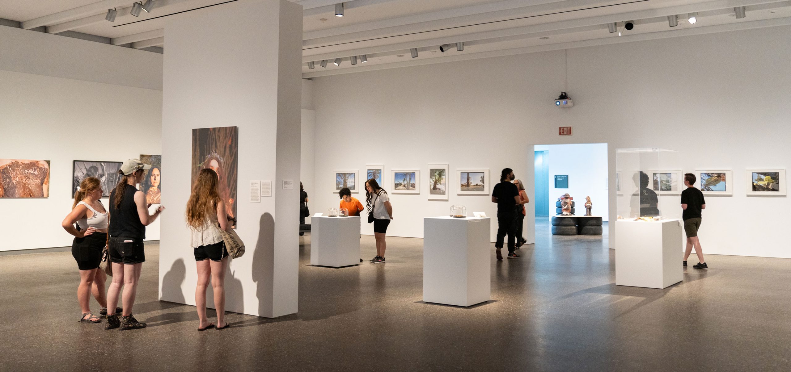 Installation view, Arizona Artist Awards, 2023, Phoenix Art Museum.